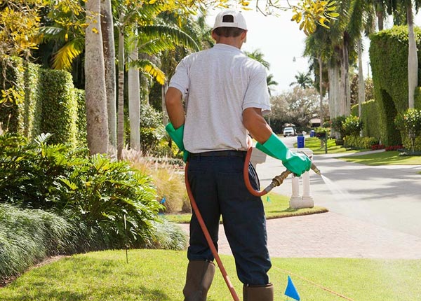 About Seaforth MN Pest Control